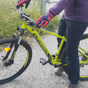 2018 Orbea MX5029 Green