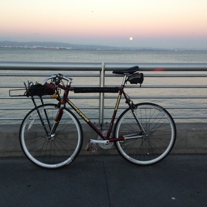 自転車本体 *SCHWINN* MADISON 2010 M 54size s-l400.jpg