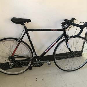Windsor dover Black