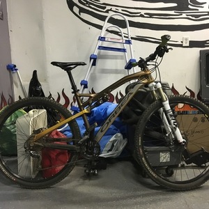 Orbea Occum 29 Brown and Yellow or Gold