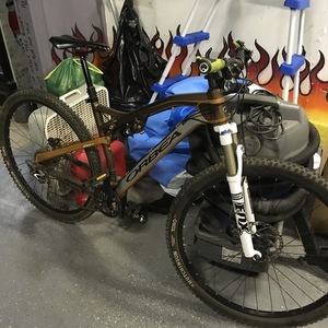 Orbea Occum 29 Brown and Yellow or Gold