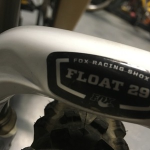 Orbea Occum 29 Brown and Yellow or Gold