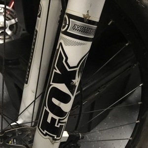 Orbea Occum 29 Brown and Yellow or Gold
