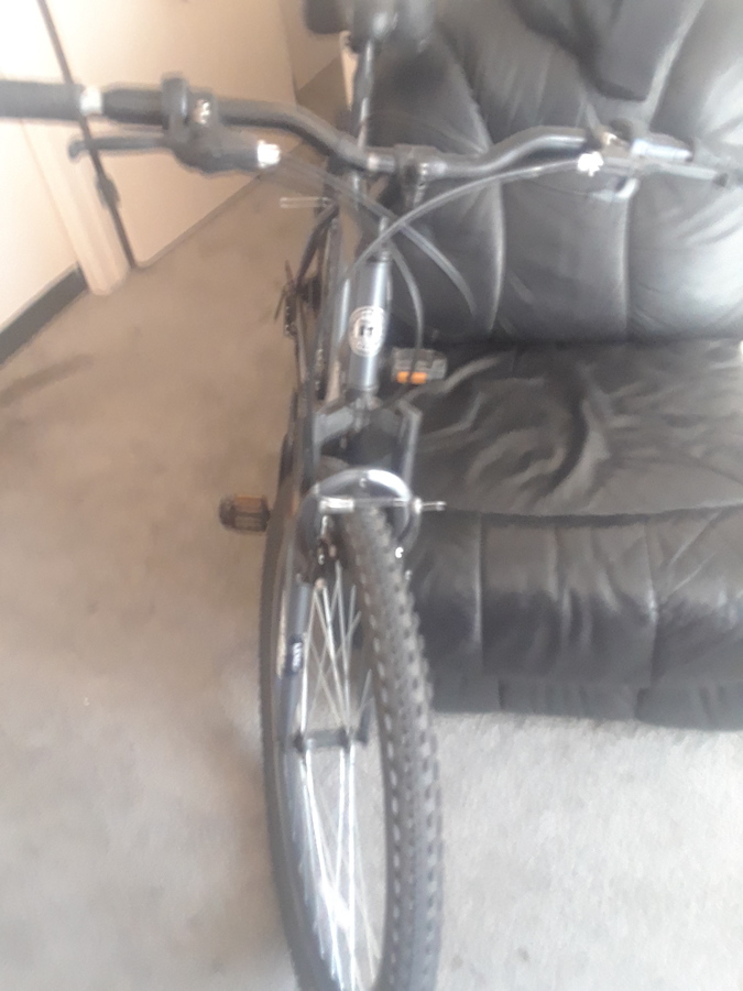 Pacific Cycle Roadmaster