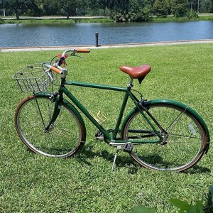 2012 Specialized Daily 1 Green