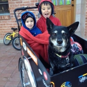 2012 Christiania Bikes cargo tricycle (front storage) Black