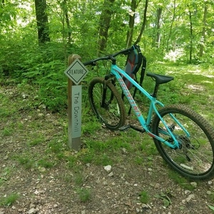 2018 Specialized Pitch Blue