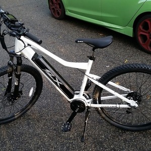 2015 FLX Trail White