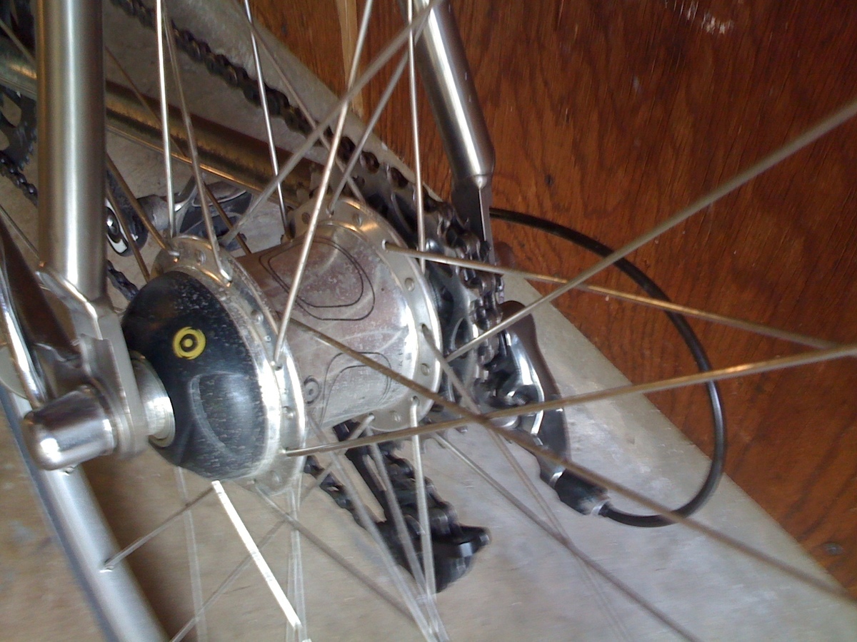 merlin cyrene for sale