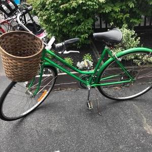 schwinn suburban vintage green
