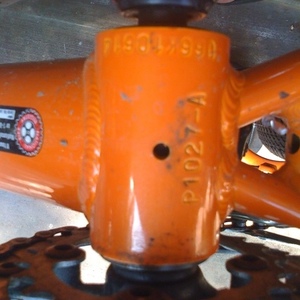 2010 Raleigh Mojave-5.0  Orange