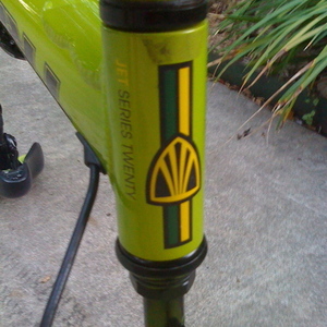 Trek Kids' Superfly 20  Black, Yellow or Gold, and Green