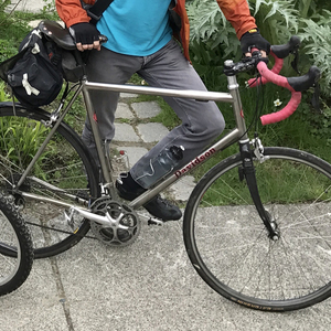 2003 Davidson Road bike Silver, gray or bare metal