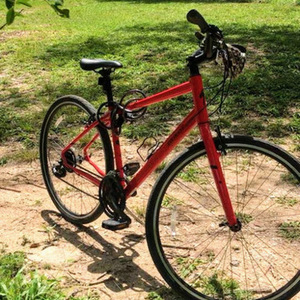 2017 Specialized Alibi Sport Red