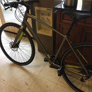 2018 Specialized Silver, gray or bare metal