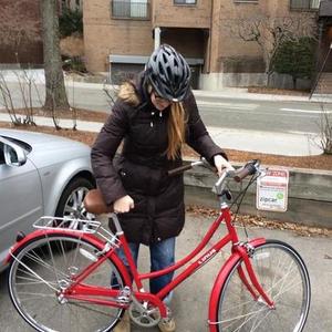 2014 Linus DUTCHI 3  Red