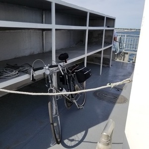 Ross Silver, gray or bare metal