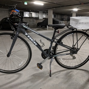 2019 Trek FX2 Silver, gray or bare metal