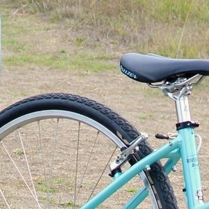 2014 Breezer Teal