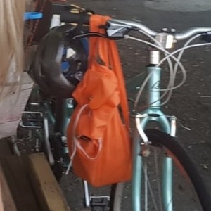 2014 Breezer Teal