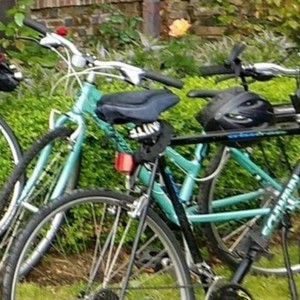 2014 Breezer Teal