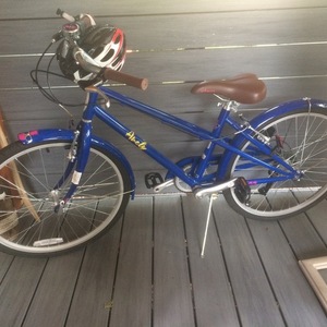 Schwinn Blue