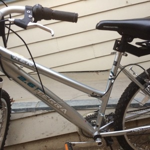 2018 Terra Trike Silver, gray or bare metal
