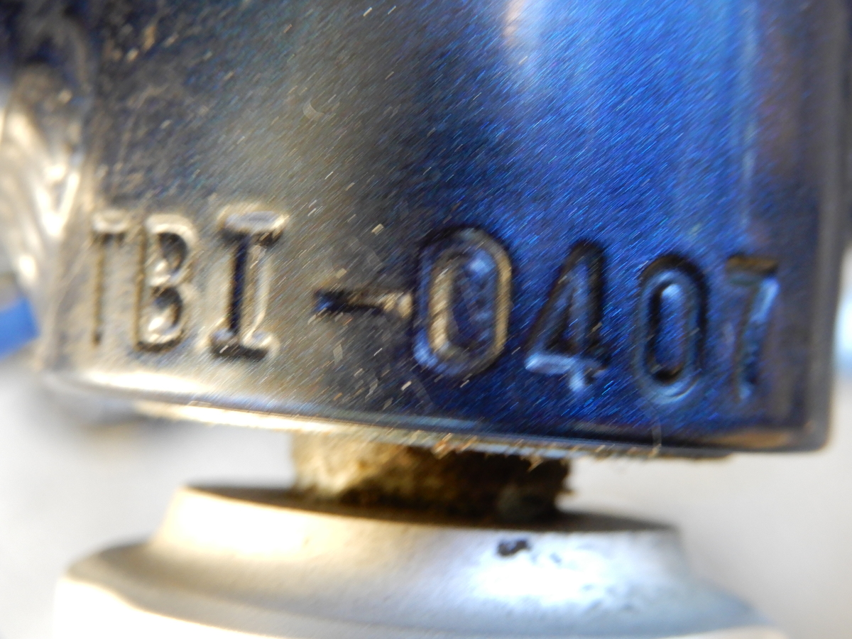 steigerin Berg確認ページ 2018 Trek TBI-0407
