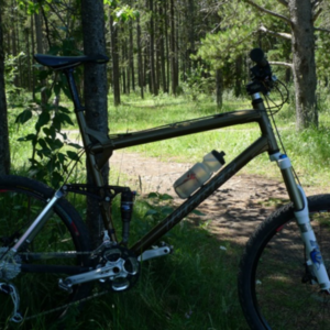 2006 Turner Bicycles 5 Spot Brown