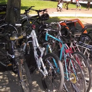 2009 Specialized SX Frame  White, Blue, and Red