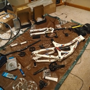 2009 Specialized SX Frame  White, Blue, and Red