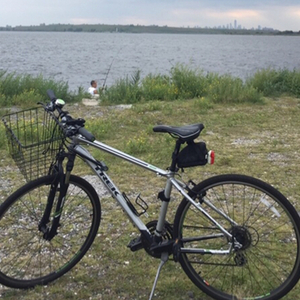 2012 Trek DS 8.2 Silver, gray or bare metal