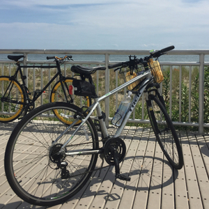 2012 Trek DS 8.2 Silver, gray or bare metal