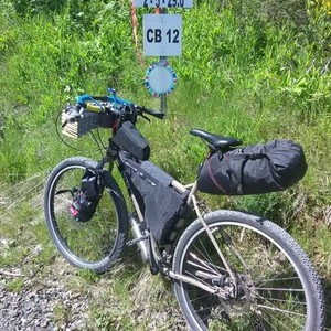 2015 Surly Ogre Brown