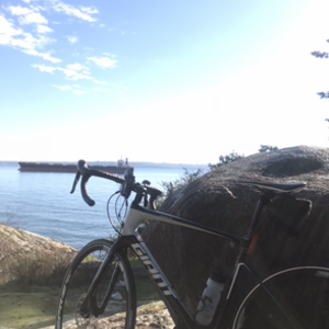 2017 Giant Defy Advance 2 Black, White, and Blue