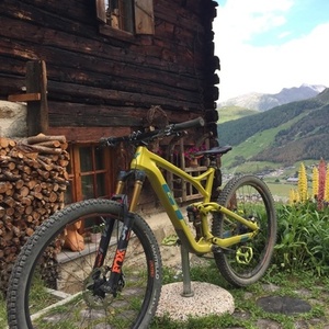 2019 GT Bicycles Sensor Yellow or Gold