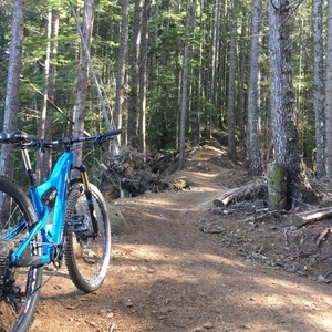 2013 Ibis Ripley Blue