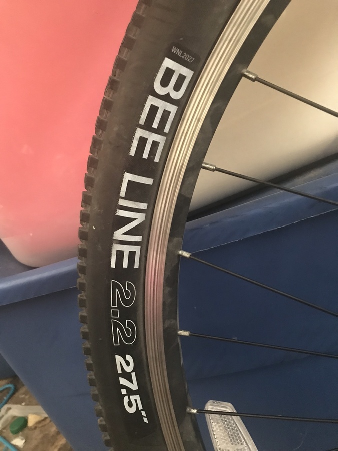Bike photo