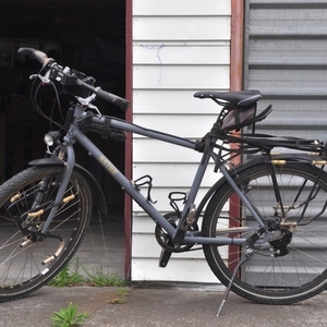 2014 ROTOR (Germany) ROTOR KOMET Silver, gray or bare metal and Yellow or Gold