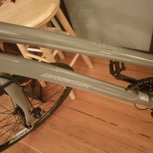 2017 Performance FEMALE Silver, gray or bare metal