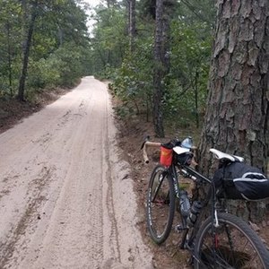 2016 Surly Cross Check Black