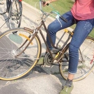 Schwinn Brown