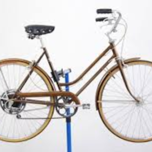 Schwinn Brown
