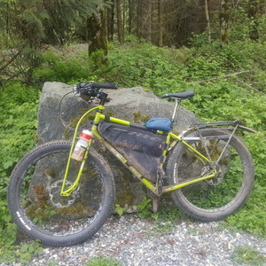 2016 Jones Bikes Jones Plus 25 Green