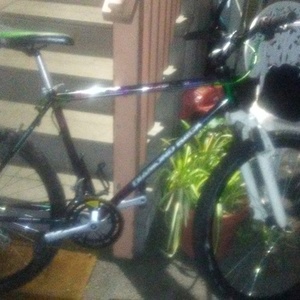 Diamondback Response Sport Black, Green, and Pink