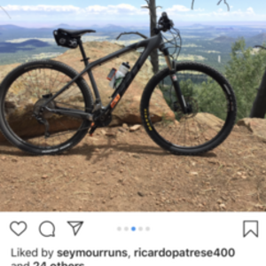 2017 Felt Nine5 Silver, gray or bare metal