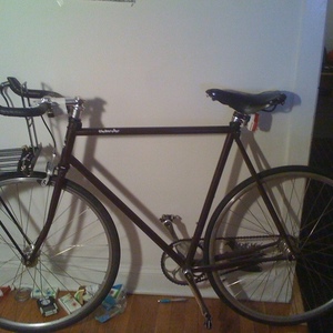 2008 Surly Steamroller Brown