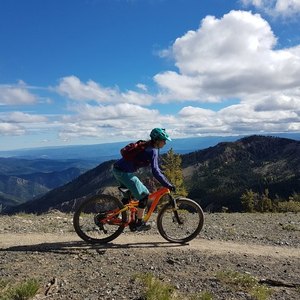 2015 Giant Reign 1 Orange