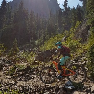 2015 Giant Reign 1 Orange