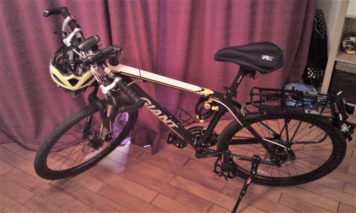 2013 Giant ATX 770